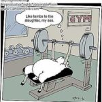 I Fought ACME9 and ACME9 Won: Part 12 Unreasonable Expections