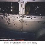 I Fought ACME9 and ACME9 Won: Part 13 Spivey Goes Down!