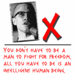 I Fought ACME9 and ACME9 Won: Part 17 I am Malcolm X!